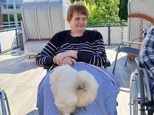 Eine ältere Frau sitzt im Rollstuhl auf einer Terrasse und hält ein flauschiges, weißes Huhn auf ihrem Schoß.